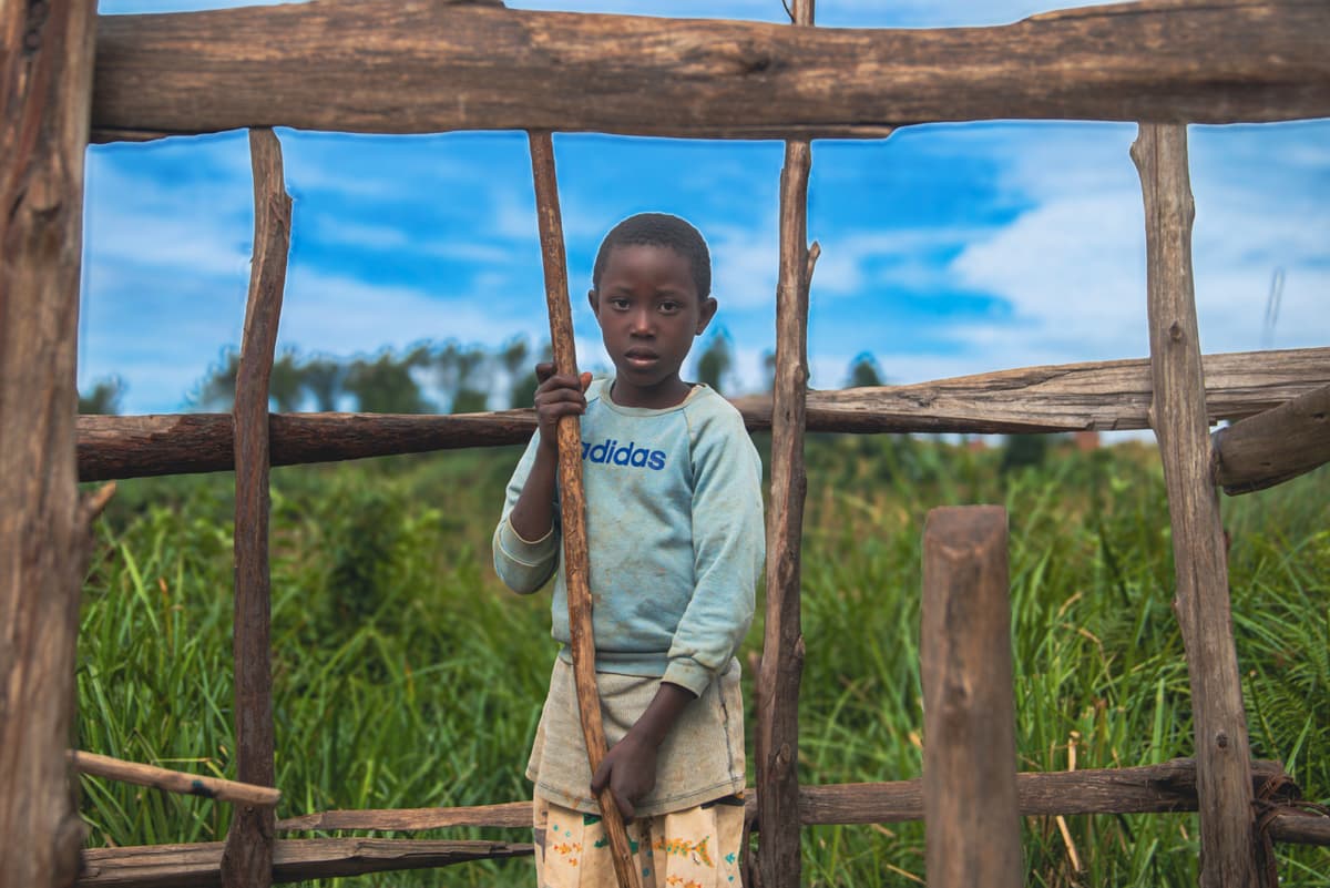 Anamnesis.WESA photo 1