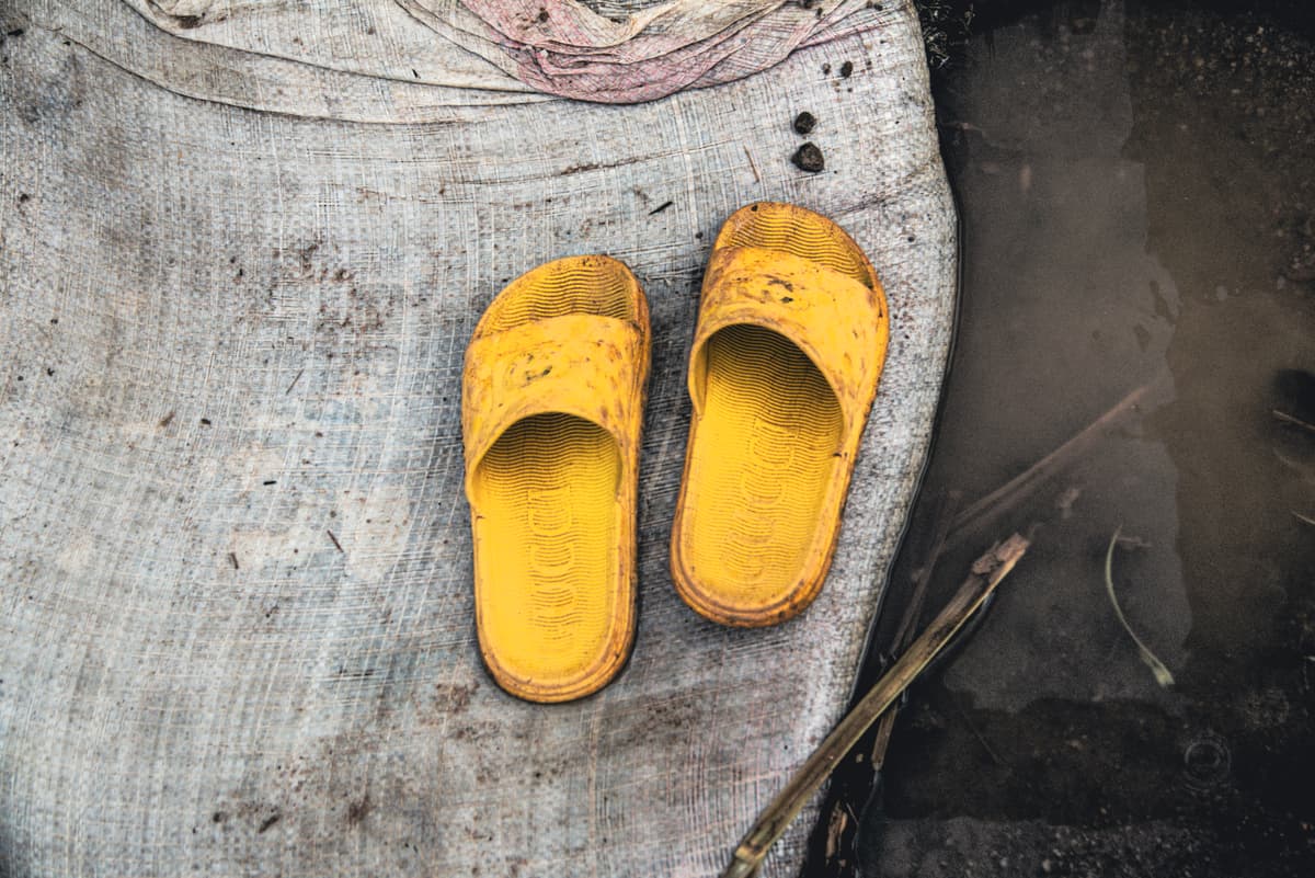 Anamnesis.WESA photo 4