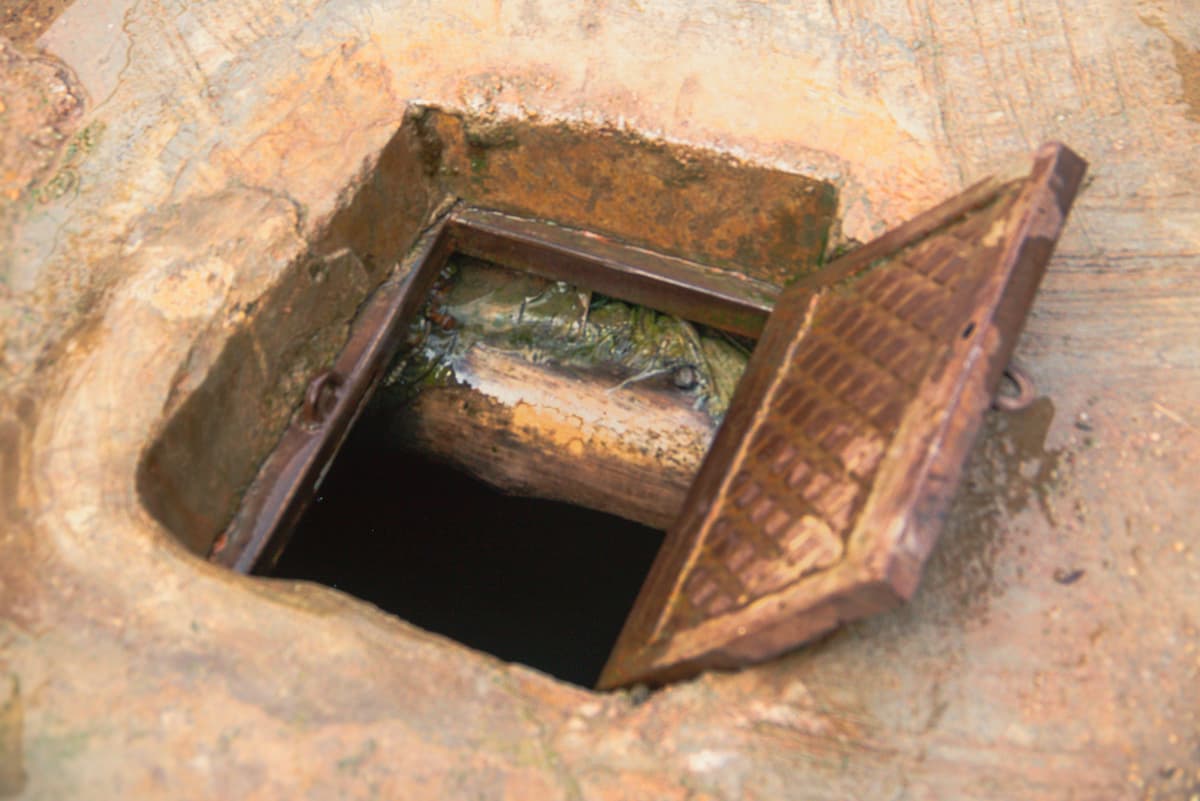 Anamnesis.WESA photo 5