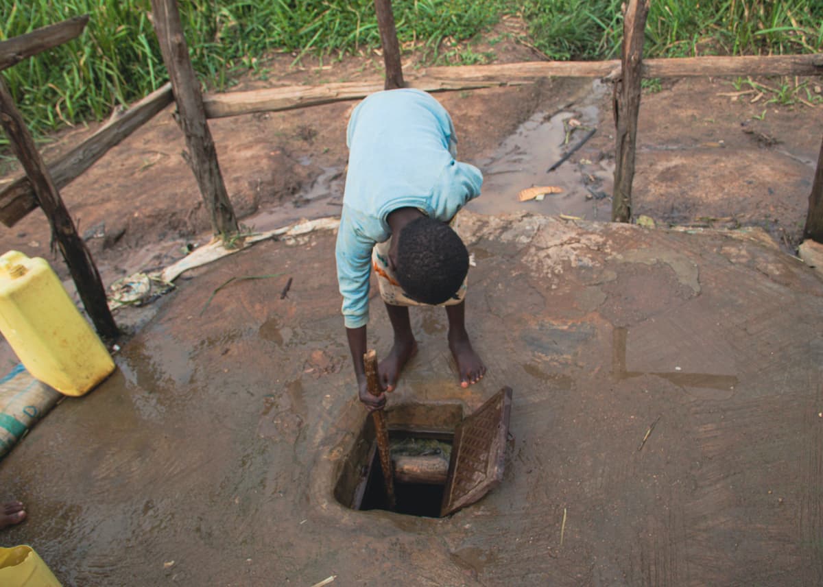 Anamnesis.WESA photo 6